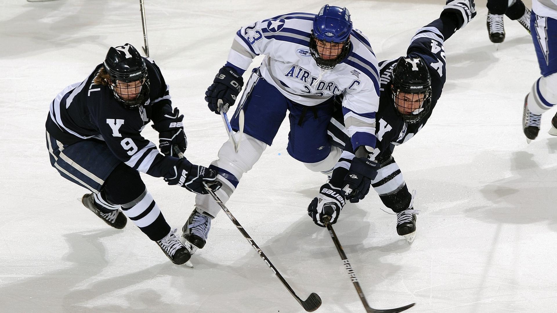 阿尼西莫娃布里斯班抵达，全力投入训练迎接新赛季